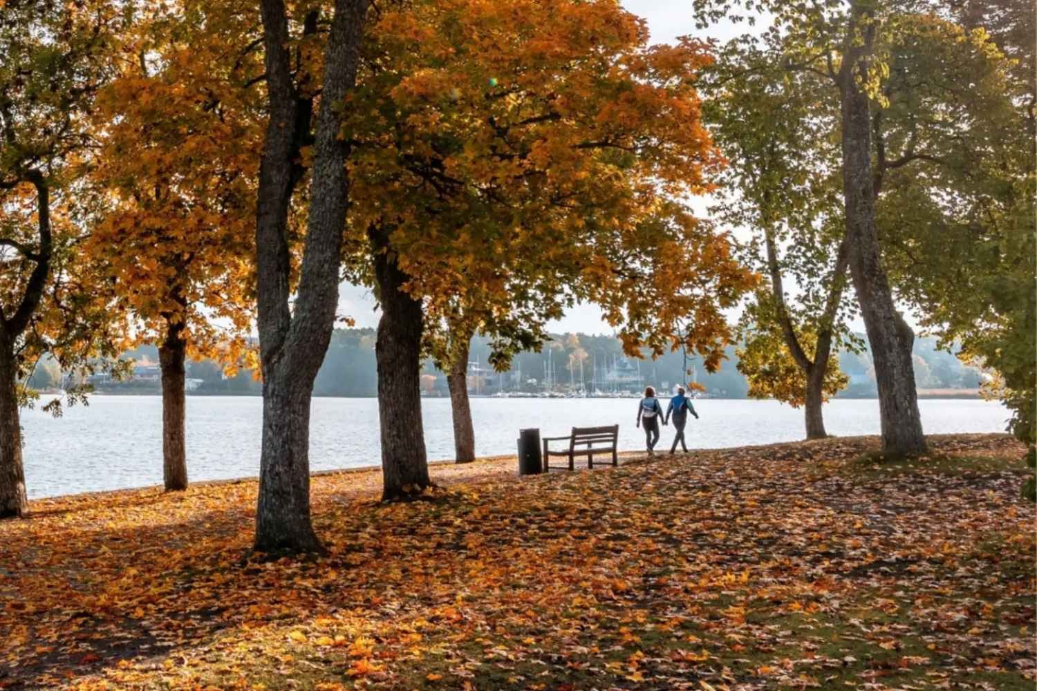 finlandia offerta di lavoro