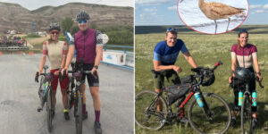 From Alaska to Tierra del Fuego: 30 thousand km by bike to follow the migratory route of the American curlew (at risk of extinction)