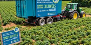 Goodbye glyphosate? In France they grow wheat without insecticides or fungicides, thanks to algae