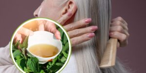 Great-grandmother’s secret to having long and strong hair: the natural method with nettle that is conquering social media