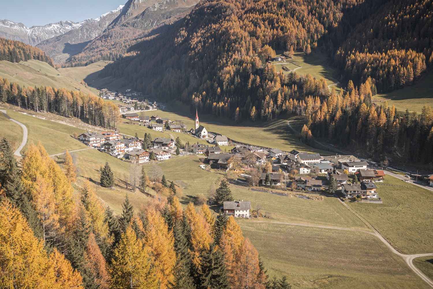 valle aurina