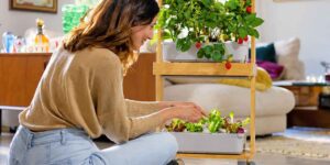It looks like a normal bamboo trolley but it allows you to create a small vegetable garden with 32 plants that grow on their own inside your home