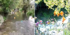 Italy wins the world plastic duck race: to celebrate the environment they made them compete in a river