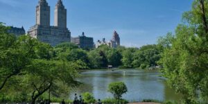 Not just heat, trees better than lawns against noise and pollution: because urban parks are more useful than we think