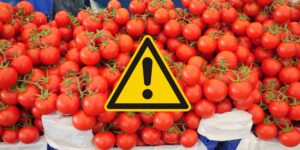 Salmonella cases are increasing in Puglia: stop raw tomatoes in schools and hospitals