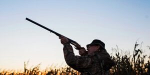 Stop lead shot forever throughout the EU, the European Parliament gives the green light to the restriction for hunting and target shooting