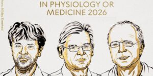 The 2026 Nobel Prize for Medicine awarded to Deisseroth, Hegemann and Nagel for their studies on optogenetics: “a new era for neuroscience”
