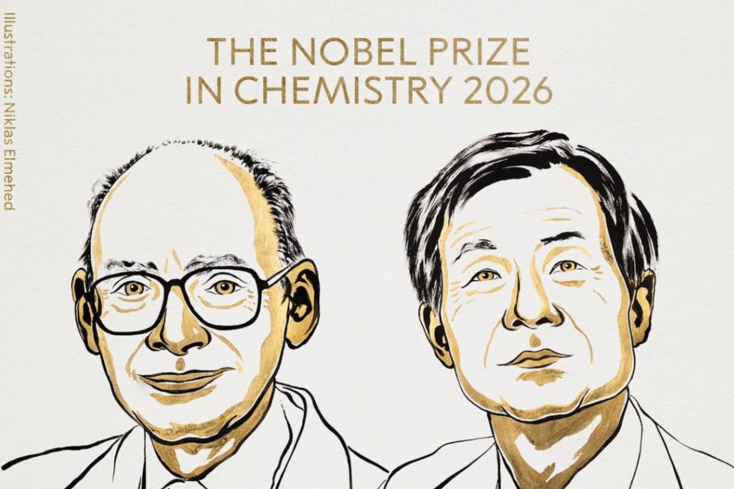 Nobel chimica