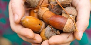 The ancient antioxidant-rich superfood ignored for decades is making its way back into diets, but only if cooked that way