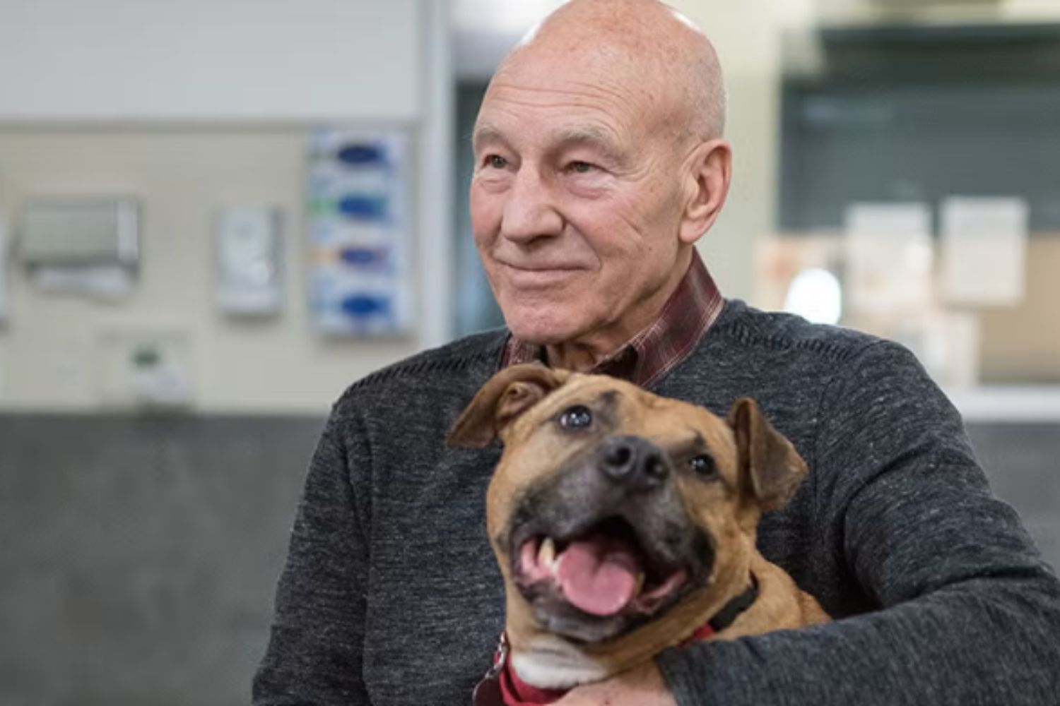 patrick stewart tutela cani