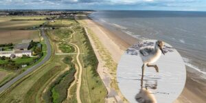 They have transformed a golf course into a gigantic coastal nature reserve, a paradise for birds and biodiversity