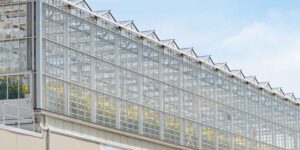 This is the largest rooftop greenhouse in the world: 45 tons of food per month are grown in the city without soil