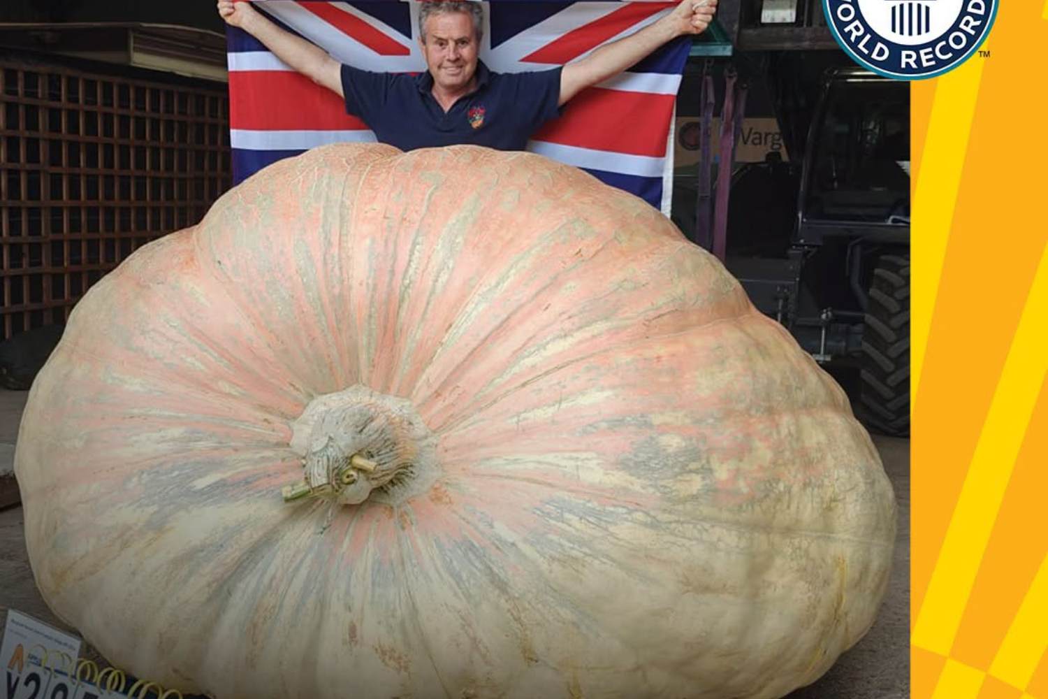 Zucca record