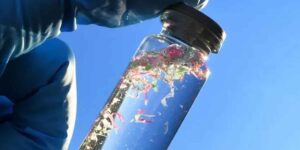What happens to microplastics when they end up in water? Scientists discover an underestimated health risk