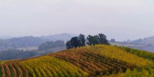 Wine, the 12 best regions in Europe for food and wine travel. You don’t expect the first one (she’s neither Italian nor French)